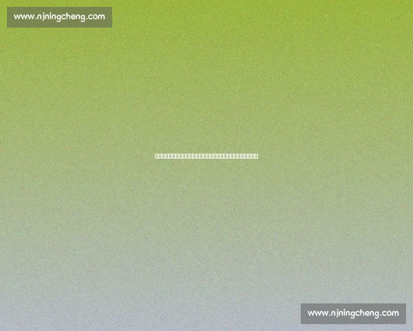 湖人对决公牛直播看点詹姆斯领衔强强碰撞焦点大战夜全美瞩目一夜